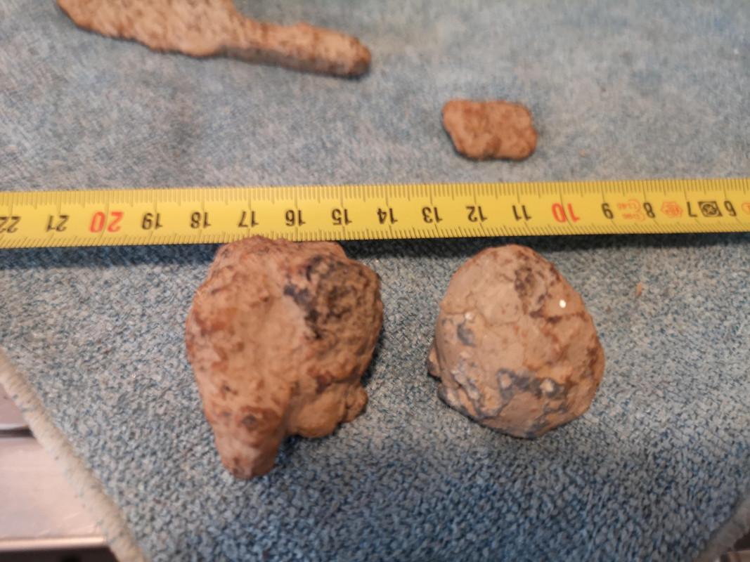 IMG_20190923_095846 (1)