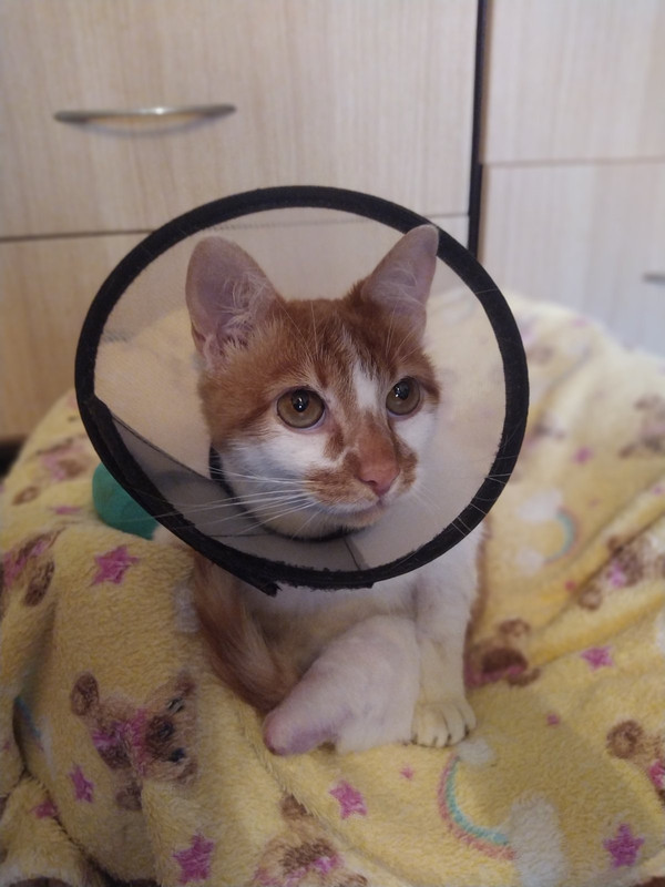 изображение_viber_2022-11-10_16-45-38-386