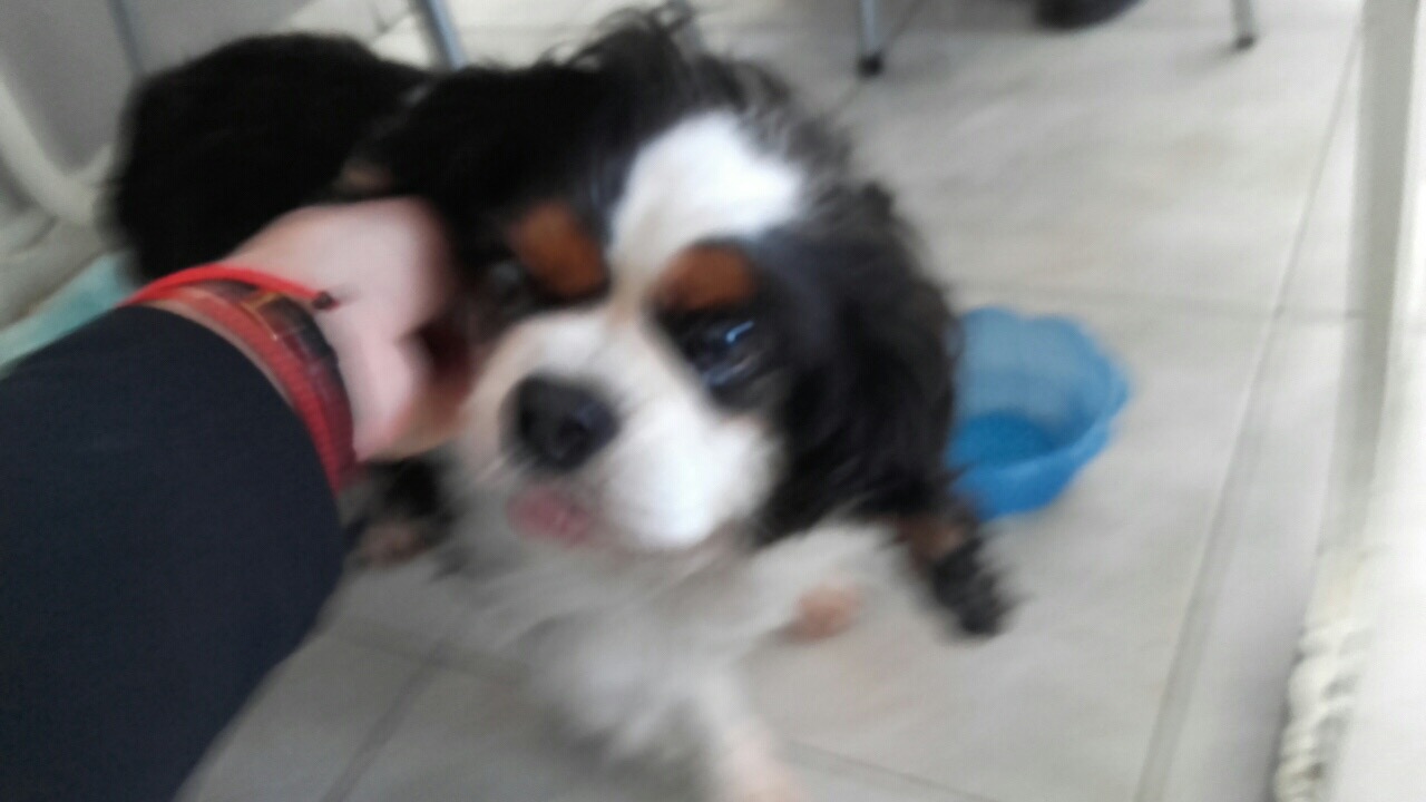 9EF8B544-F2B0-4A39-A094-03B7C1449C9B