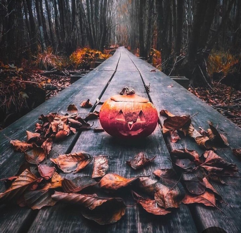 Screenshot_20231219_231621_Pinterest