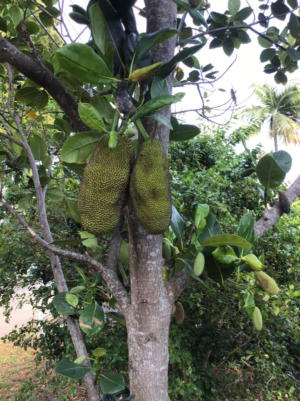 898D5984-7431-4C1C-AA14-F57810107A62