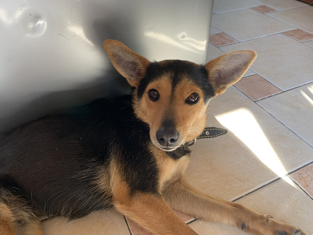 2749A8B3-CCA8-4484-8E65-8D91F7A0528A