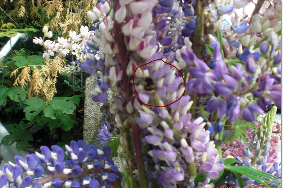 Bea friend turned up, 2025