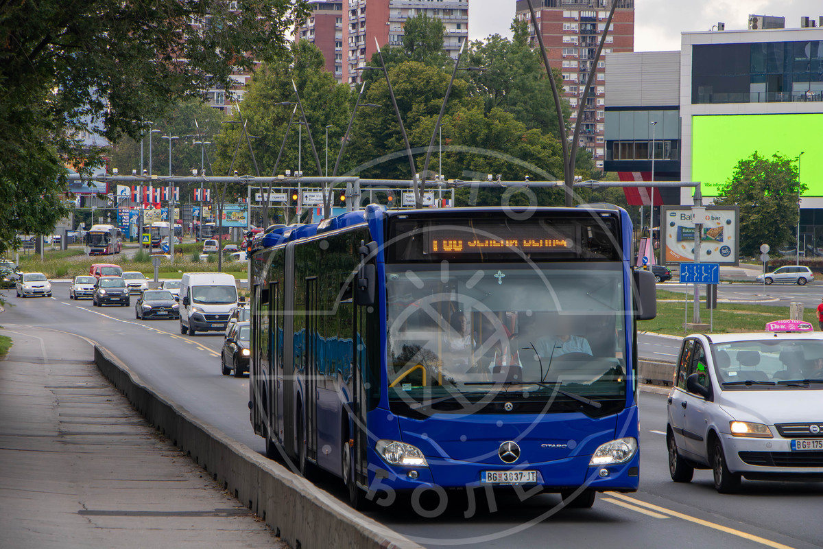 705291.jpg