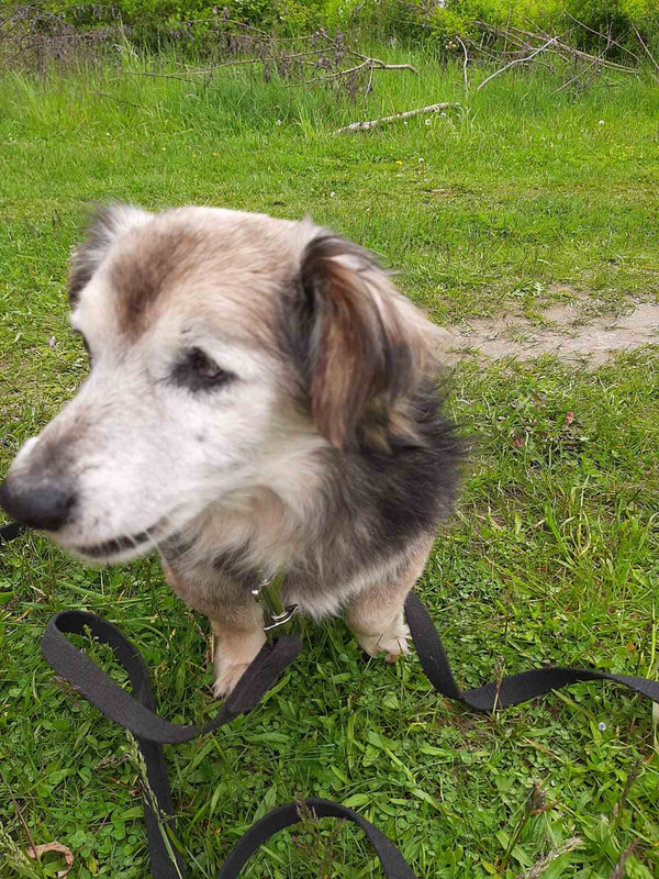 E1FFAD4C-8ED8-4001-95C9-061420D85A2D