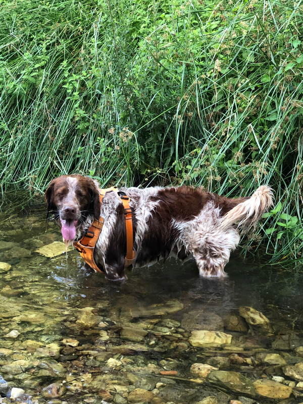 B778A35E-F9EC-4CED-A9A2-72C323ED46AE