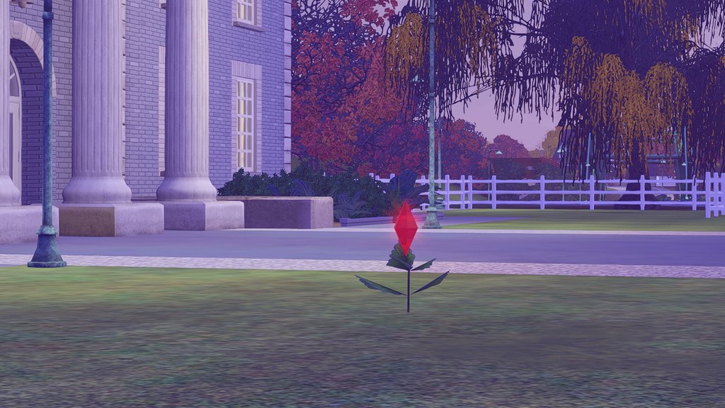 TS3-W-2025-01-10-21-01-16.jpg