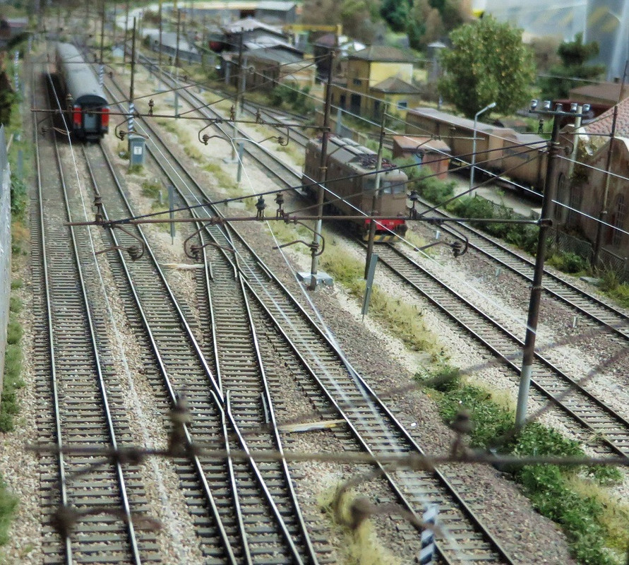 Boscoscuro 19092023 (1)