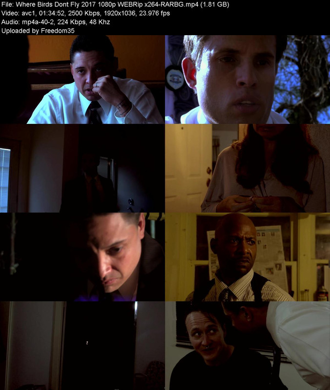 Where-Birds-Dont-Fly-2017-1080p-WEBRip-x