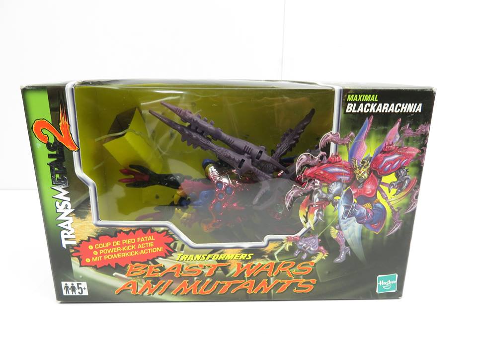 41776838_2340468922634320_5998063322266599424_n