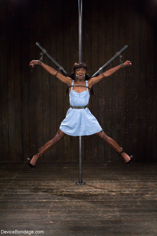 bdsmlr-200633-d91cuOe3sG