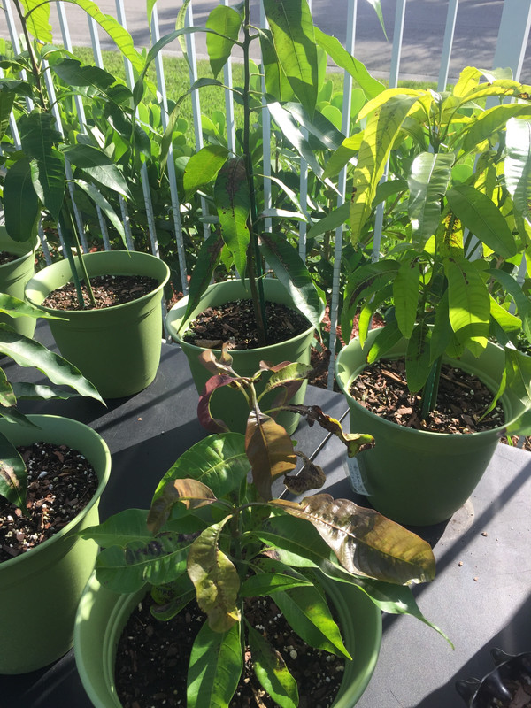 237AE03D-03A3-4D38-A88F-1AFC50864DCE