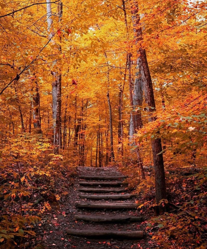 Screenshot_20231206_221707_Instagram