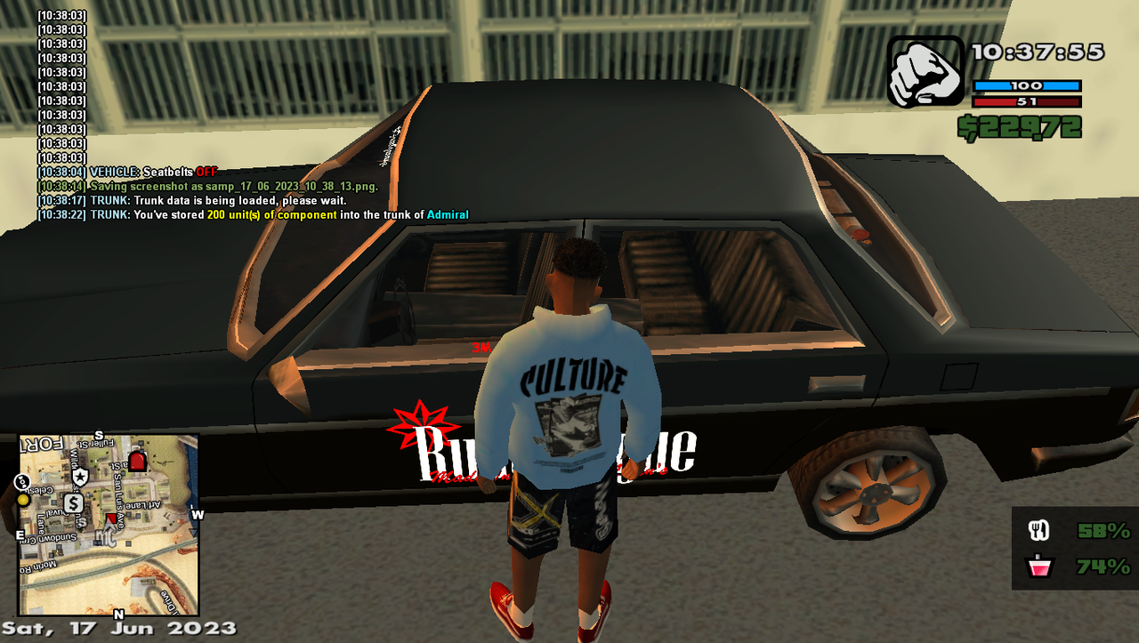samp-17-06-2023-10-38-25.png