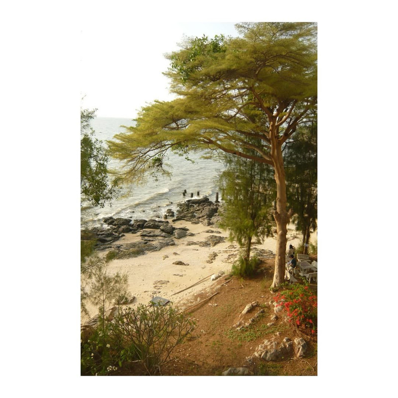 photo 1 2026 01 16 22 16 38