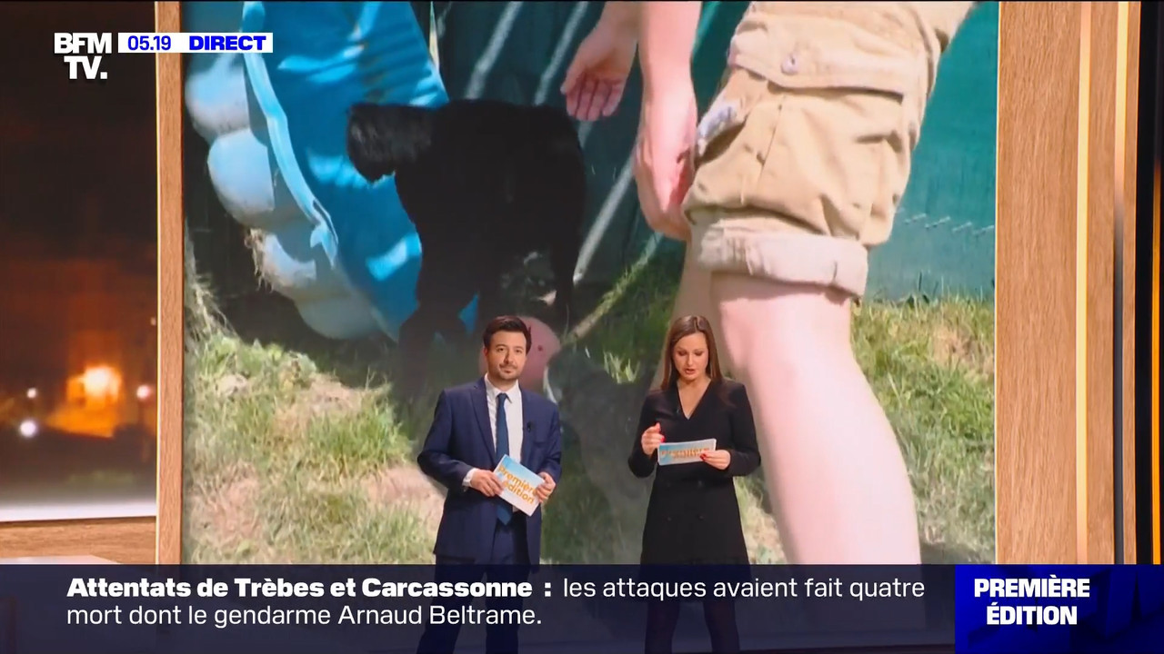 BFMTV 220124.mp4_snapshot_00.54.18.624