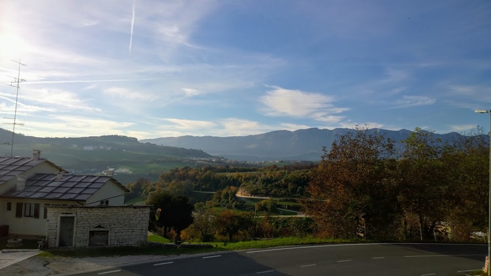 Ronconi