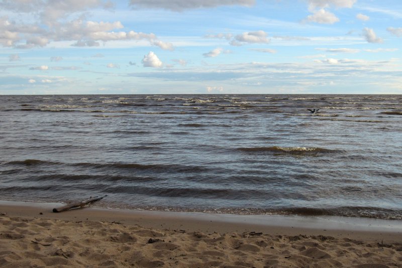IMG-6973.jpg