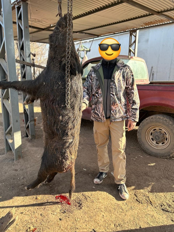 WhatsApp Image 2024-08-02 at 12.47.39