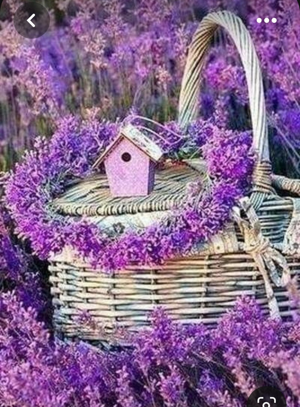 Screenshot_20230616_181057_Pinterest