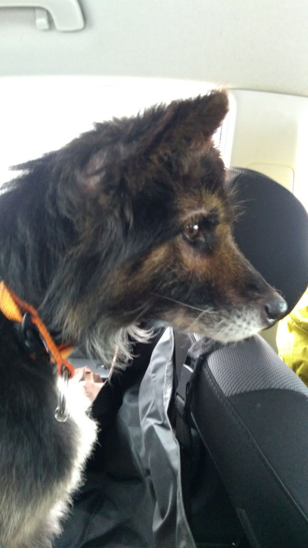 F8D16882-41CA-48DA-91D6-AF40DA16439A