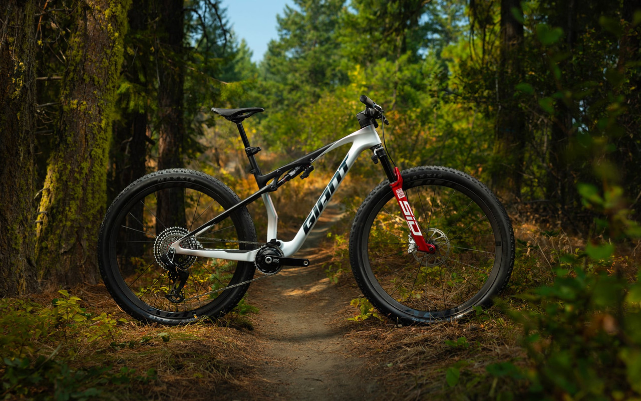 Anthem Advanced SL SE enviro