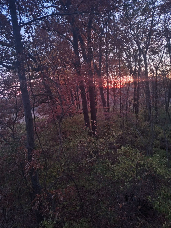 IMG_20241030_070851503