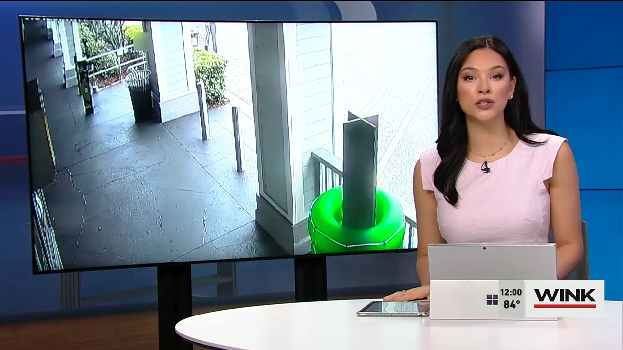 05.03 - 17.00.00 - The WINK Noon News  ᴺᵉʷ. Midday news update..ts_snapshot_06.59.319