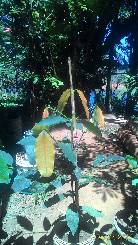 P_20200222_121518_1_p (1)