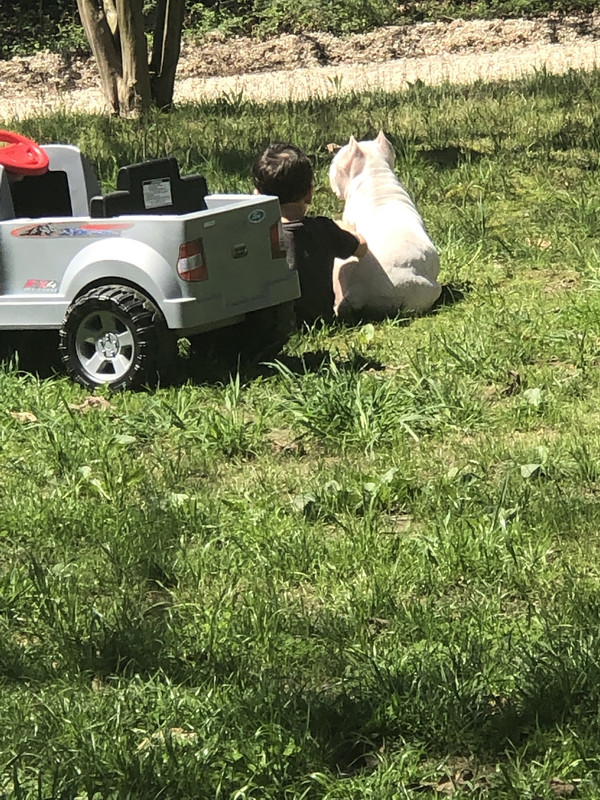 CE5C4B26-A3A5-49F6-9544-324DC35F3325