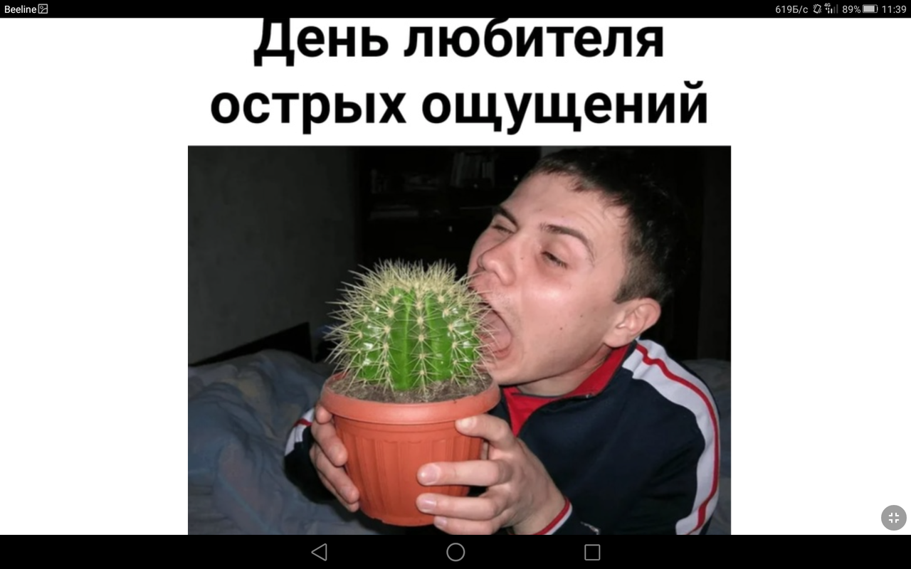 Screenshot_2021-11-29-11-39-32