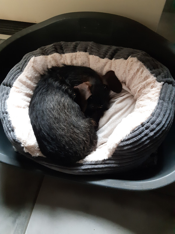 [Image: 20230309-080636.jpg]