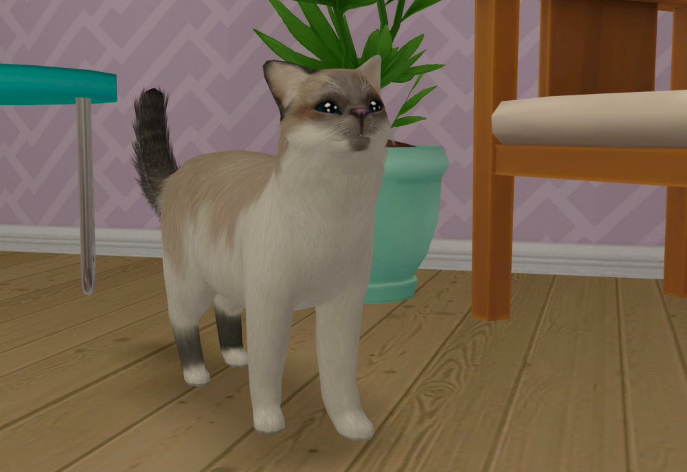 Sims2-EP9-RPC-2021-10-24-16-51-51-47