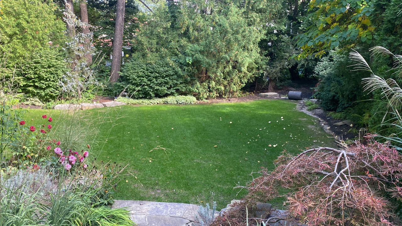 F4B71A8B-1D57-4C89-BEAA-FA2E352CAA5D