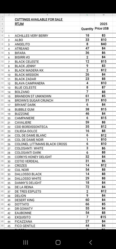 Screenshot 20251204 211305 WPS Office