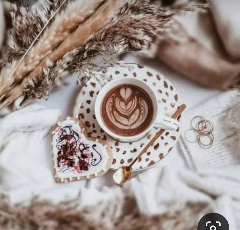 Screenshot_20230330_005802_Pinterest