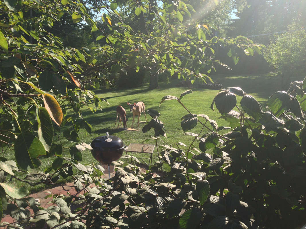 7184711E-A8C7-487E-8217-F5AF11D8635F