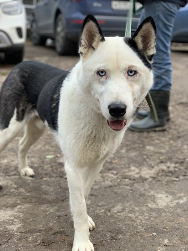 628B92B0-2632-4A5D-ACB2-11AA1982A2CE