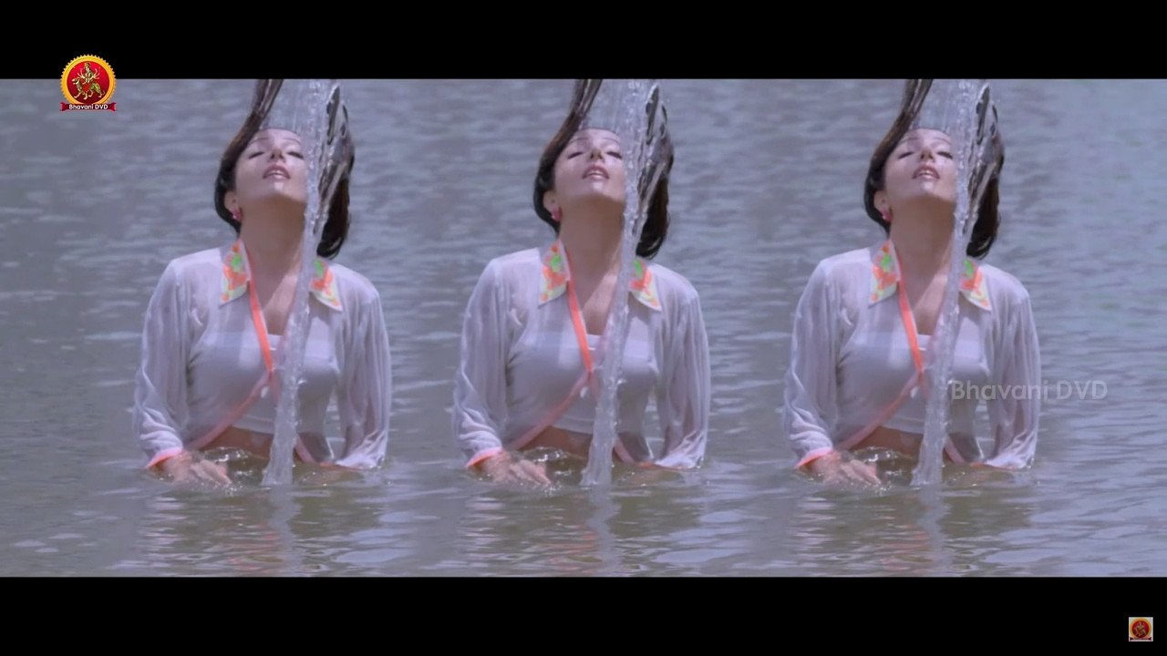 Sonia Mann Hot Navel Song From Dhee Ante 1080p.mp4_snapshot_00.03_[2020.11.21_22.33.10]