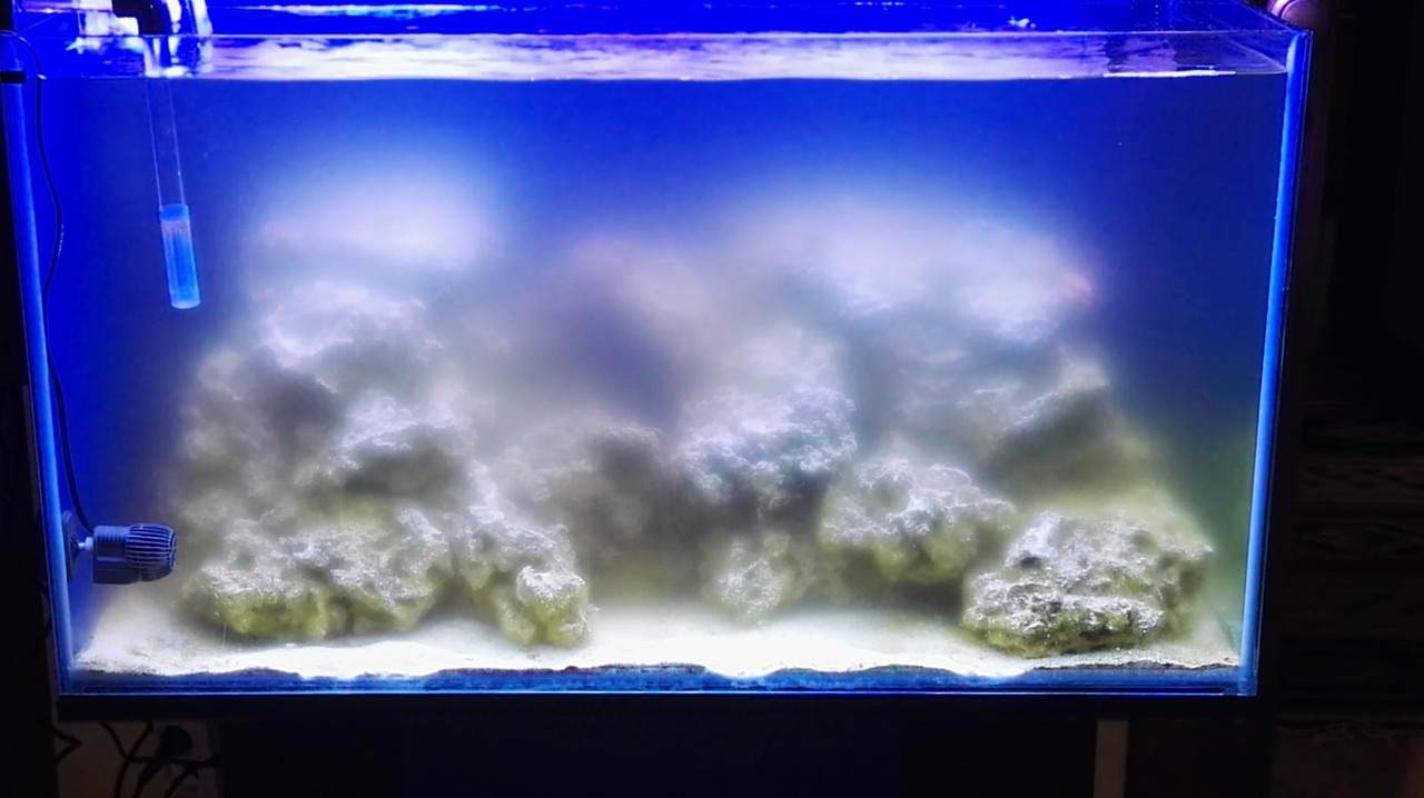 WhatsApp Image 2019-10-13 at 15.50.30 (1)