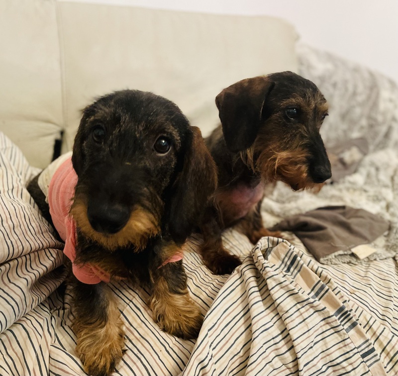 [Image: IMG-3574.jpg]