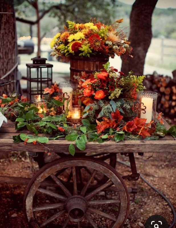 Screenshot_20231115_215122_Pinterest