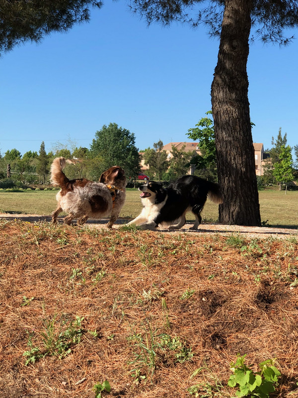 2DB0B863-89DA-496D-A41B-73046221D96E