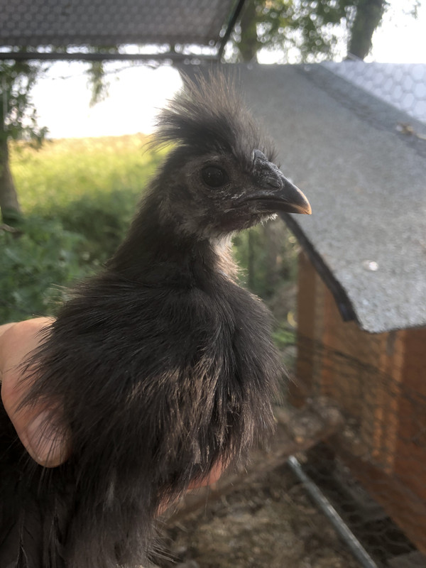 71E174D0-03B1-46B7-84B4-E49F70133E7E