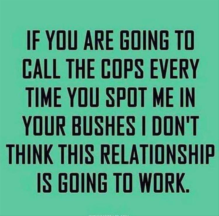 dont_call_the_cops_everytime_you_see_me_in_bushes.jpg