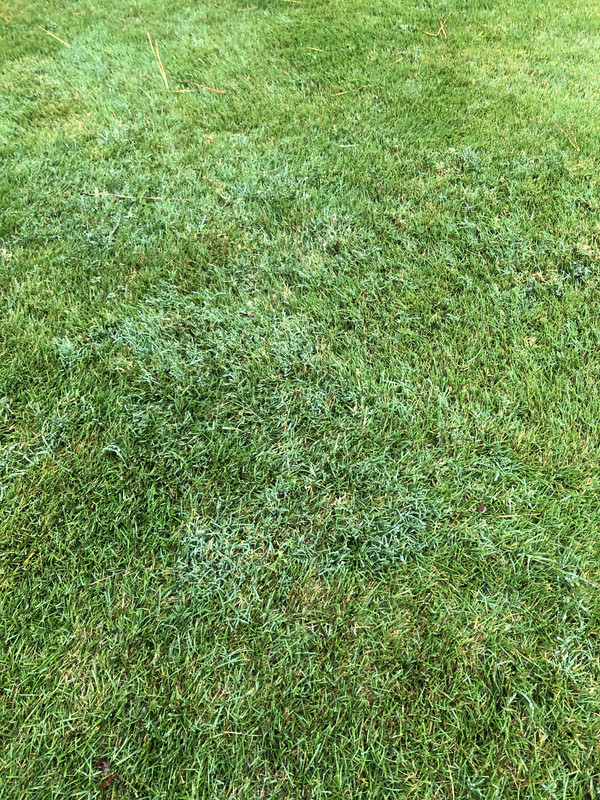 3B647622-D7F1-47F0-B67C-C04813D2280D