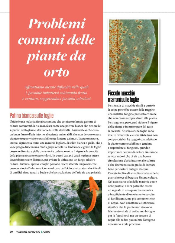 Pass Giar e Orto Giu 2025 (7)