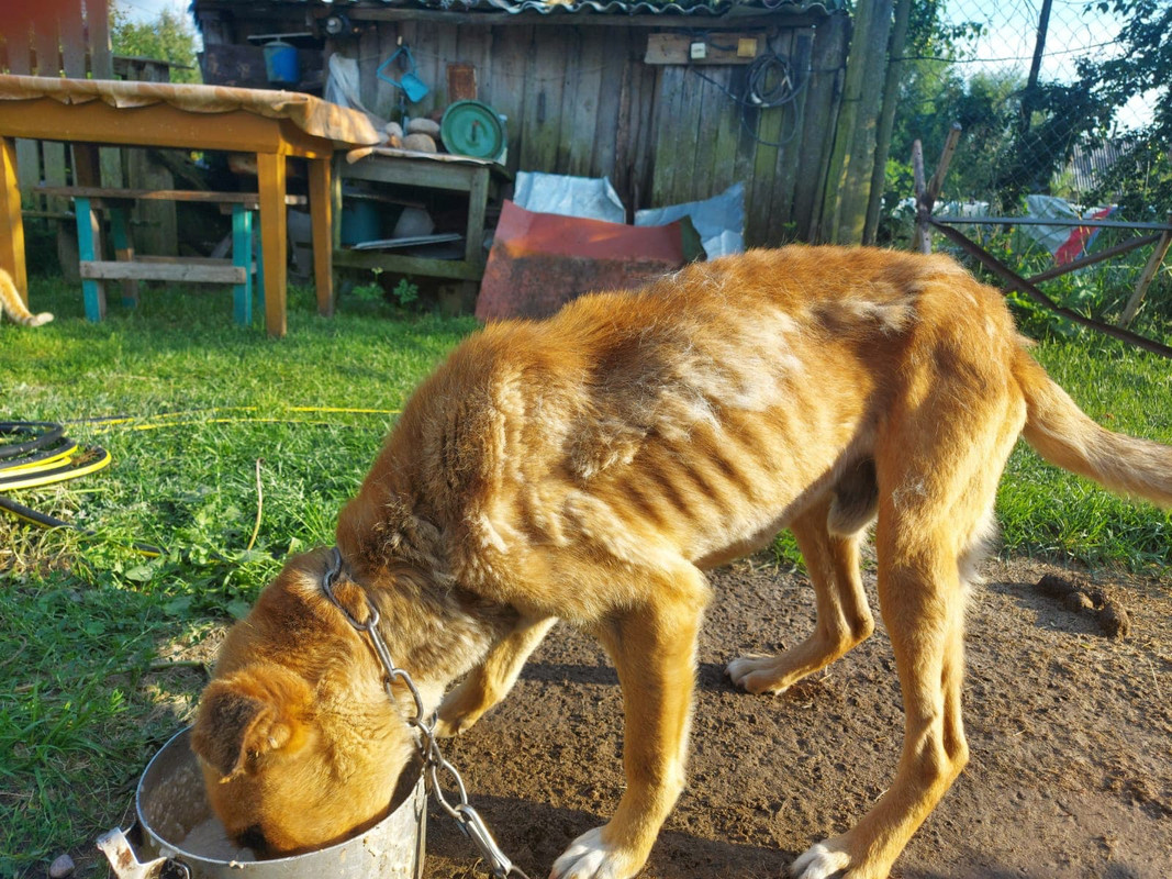 202C1E9C-5F17-48D5-A53C-4E7C96C8DE7C