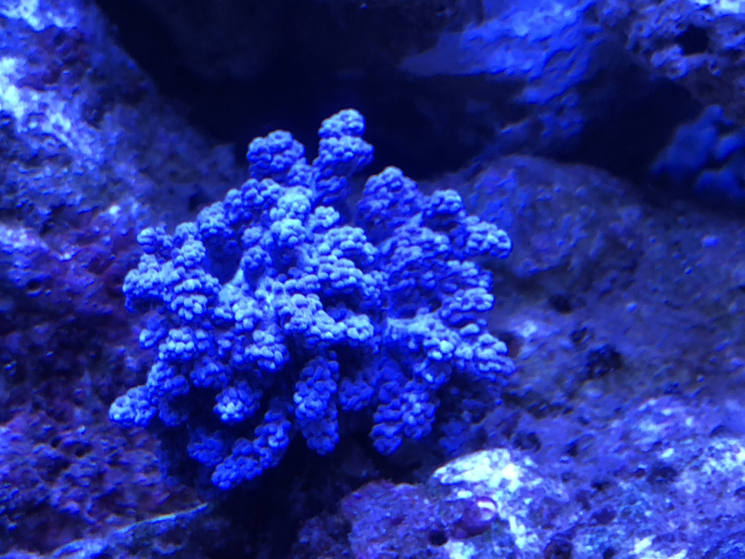 959E7095-3709-4DCD-8290-0335B9753592