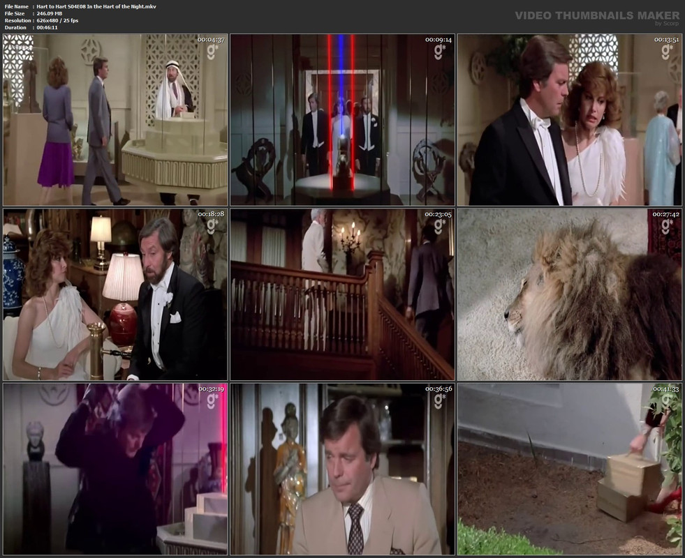 Hart to Hart S04E08 In the Hart of the Night.mkv